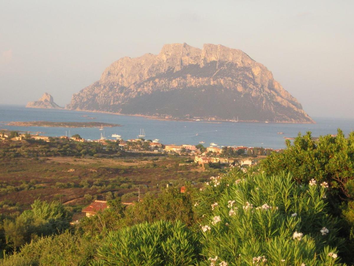 Villa Kate B&B Porto San Paolo  Zewnętrze zdjęcie