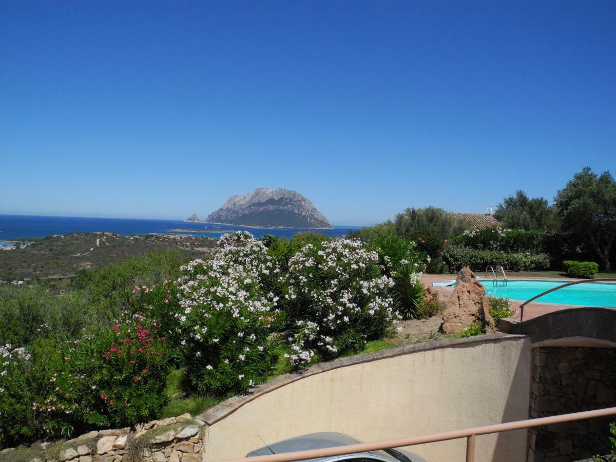 Villa Kate B&B Porto San Paolo  Zewnętrze zdjęcie