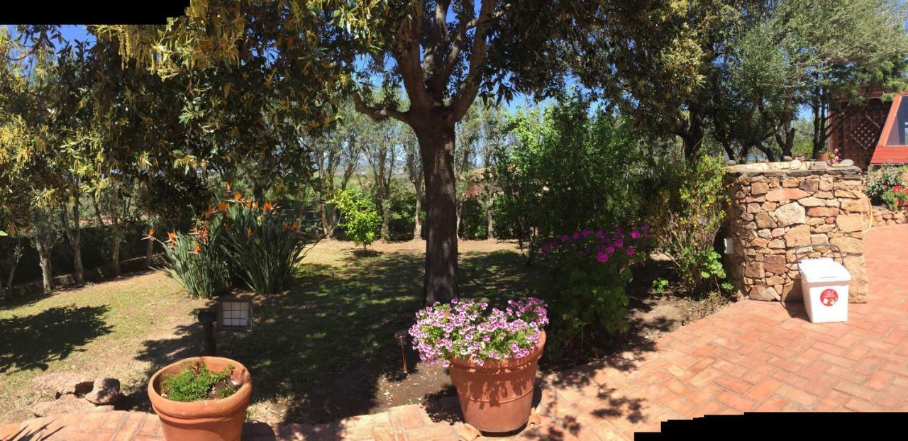 Villa Kate B&B Porto San Paolo  Zewnętrze zdjęcie